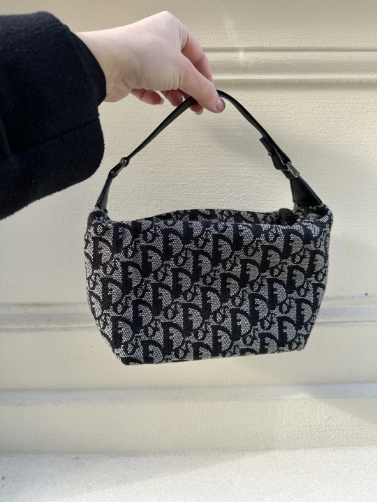 Dior Trotter Canvas Handbag 